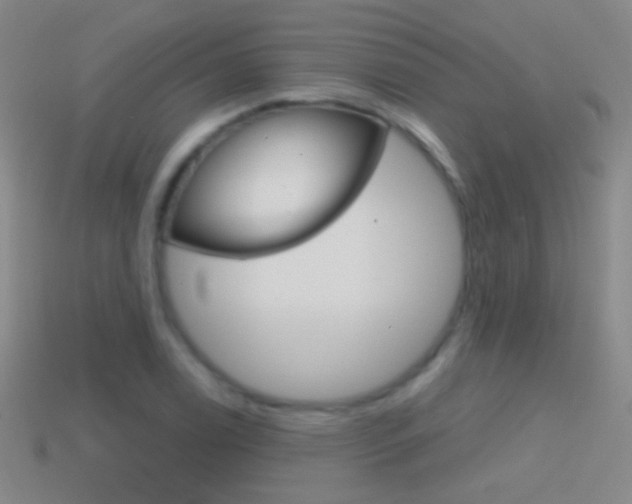 X0000114581122200910191049