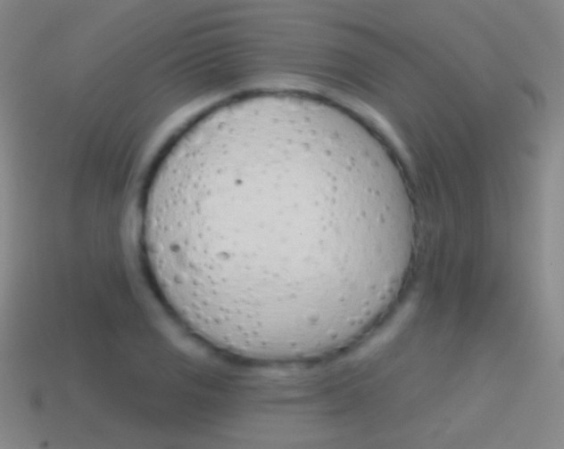 X0000114581125200910191049