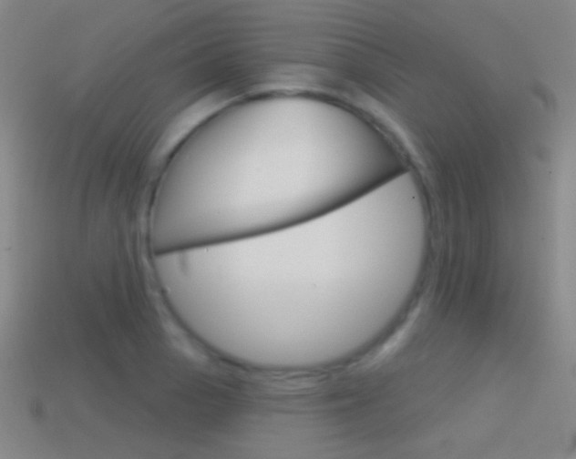 X0000114581129200910191049