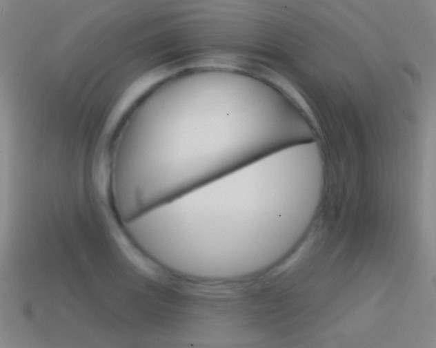 X0000114581131200910191049