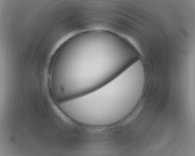 X0000114581134200910191049