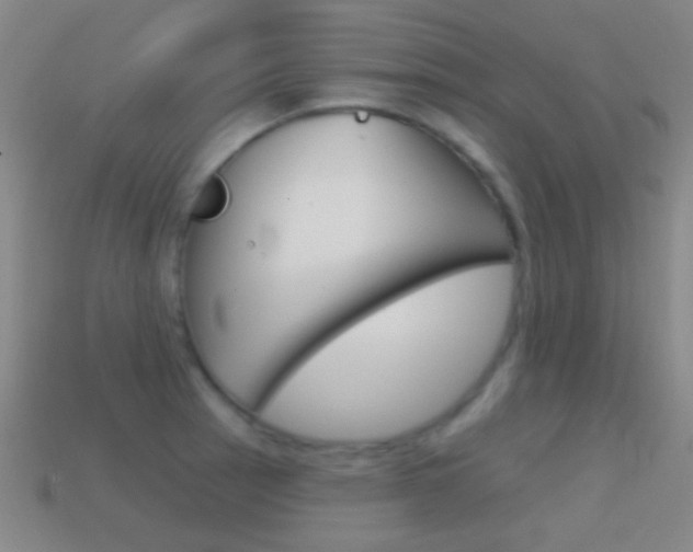 X0000114581137200910191049