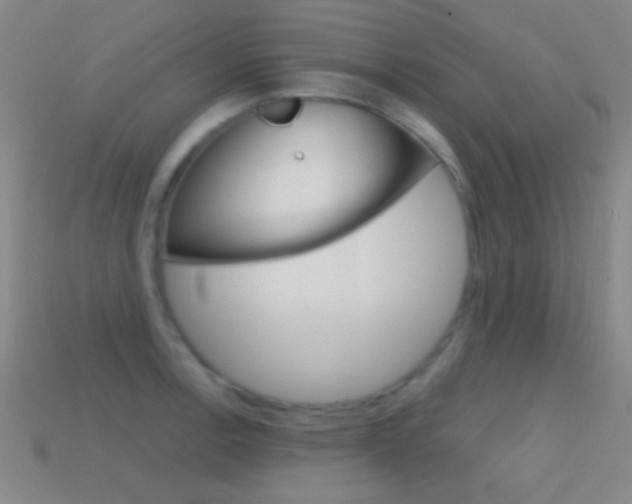 X0000114581138200910191049