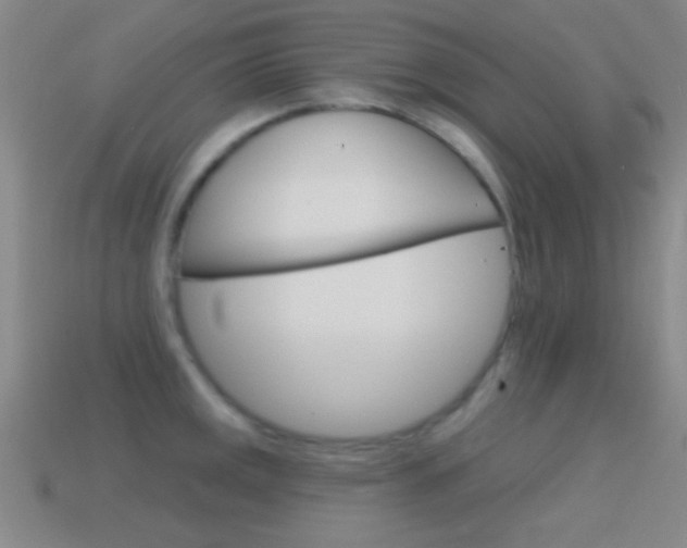 X0000114581141200910191049