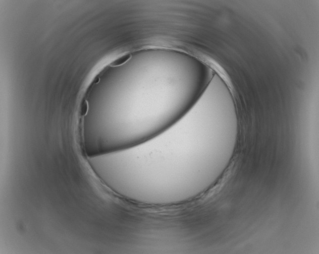 X0000114581146200910191049