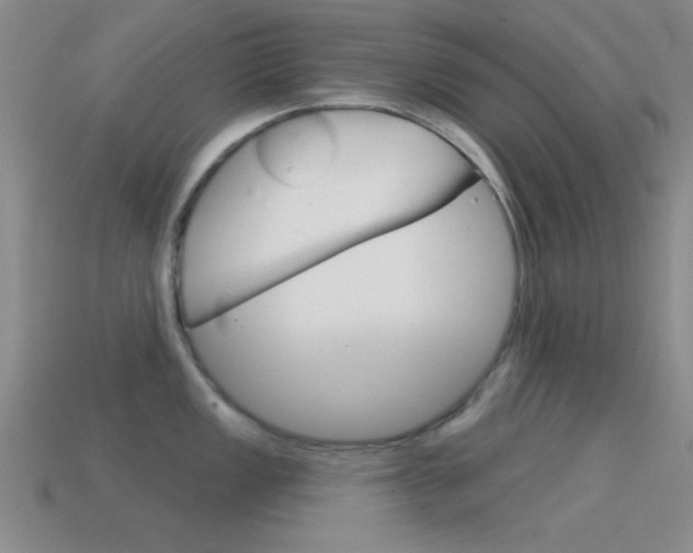 X0000114581149200910191049