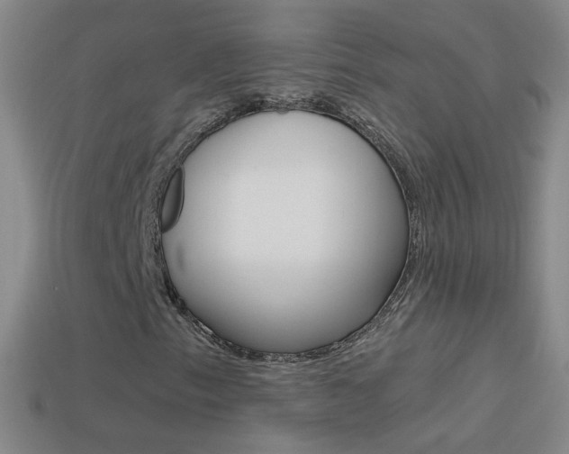X0000114581153200910191048