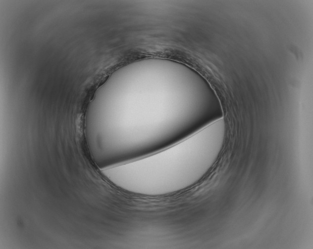 X0000114581156200910191048