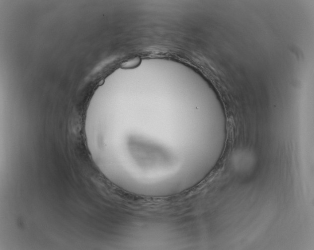 X0000114581158200910191048