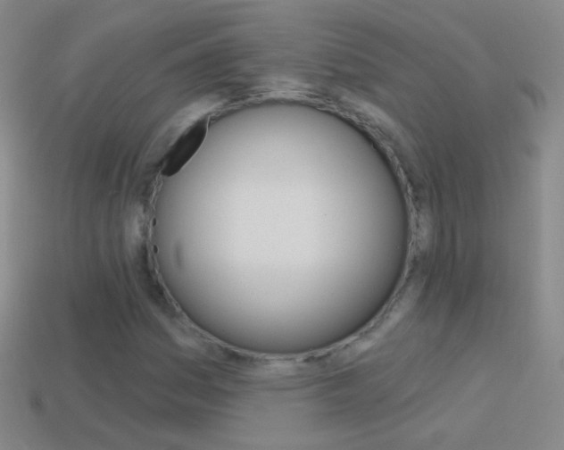 X0000114581161200910191048