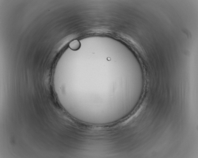 X0000114581162200910191048