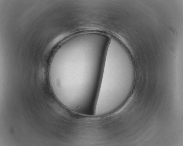 X0000114581163200910191048
