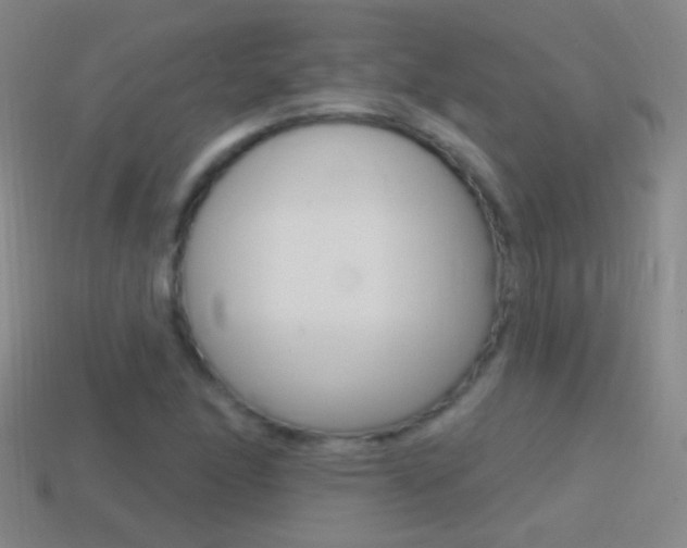 X0000114581166200910191048