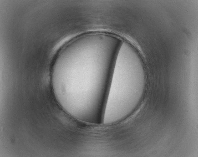 X0000114581167200910191048