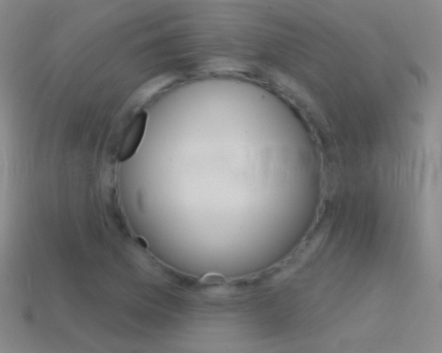 X0000114581169200910191048
