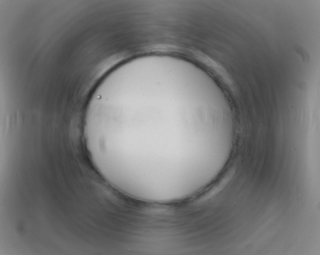 X0000114581170200910191048