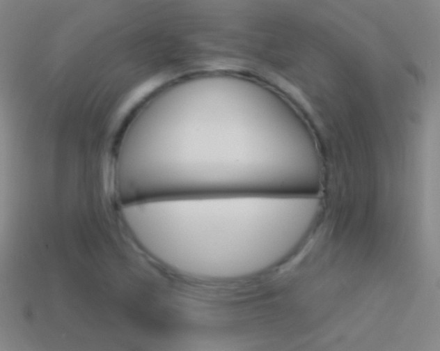 X0000114581171200910191048