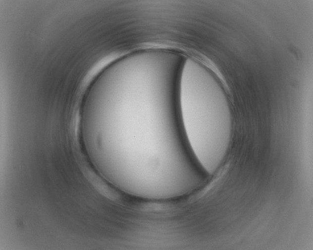 X0000114581179200910191048