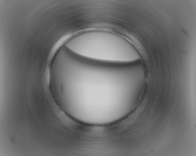 X0000114581180200910191048