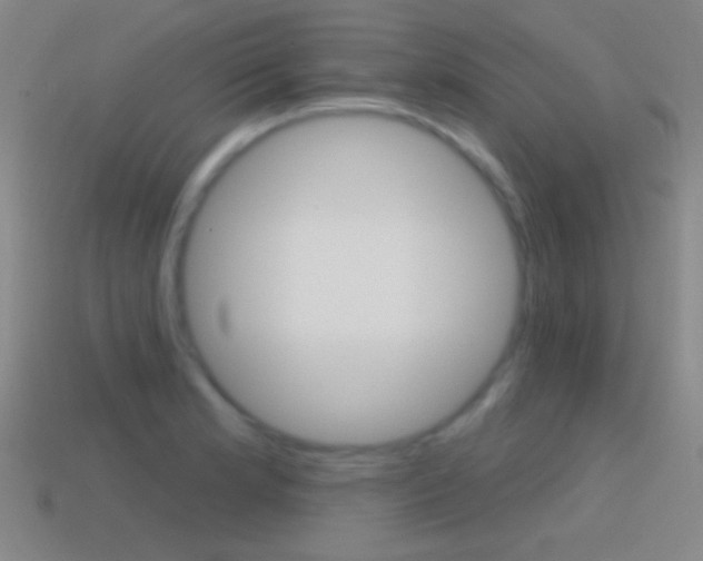 X0000114581181200910191048