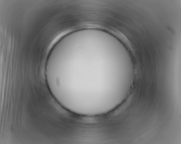 X0000114581182200910191048