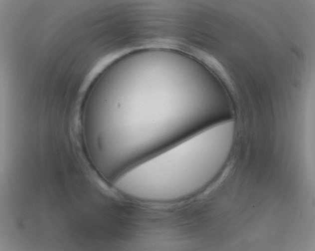 X0000114581184200910191048