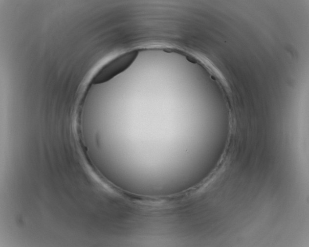 X0000114581189200910191048