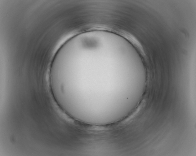 X0000114581190200910191048