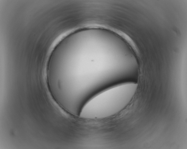 X0000114581191200910191048