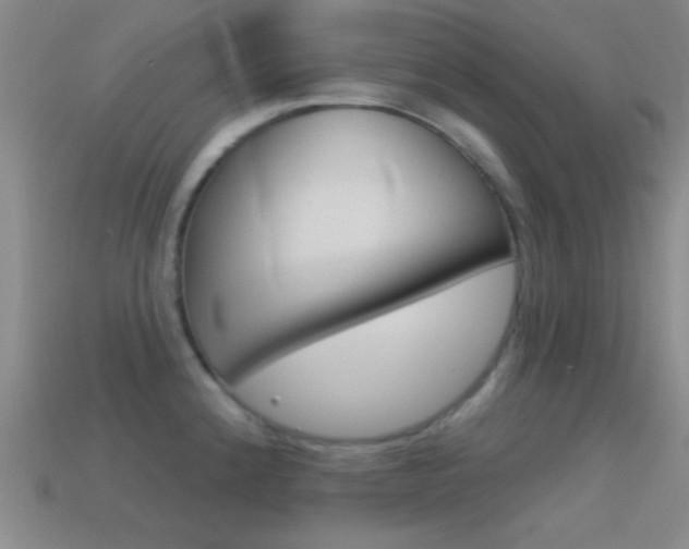 X0000114581192200910191048