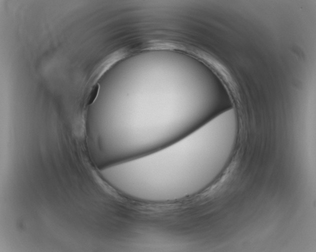 X0000114581193200910191048