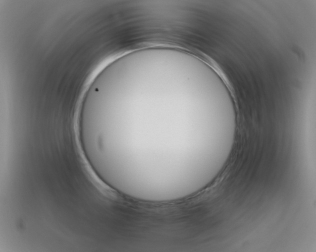 X0000114581195200910191048