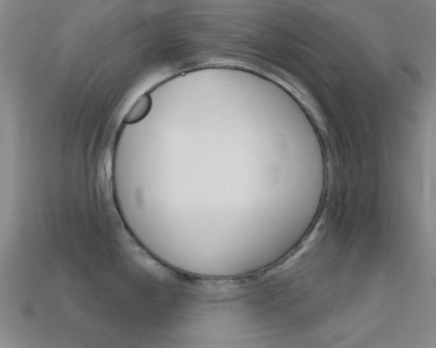 X0000114581198200910191048