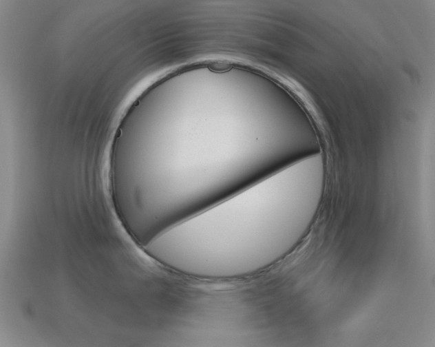 X0000114581199200910191048