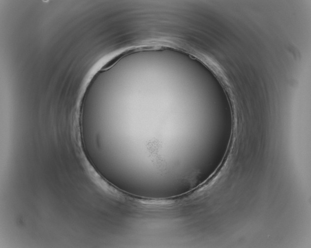 X0000114581200200910191048