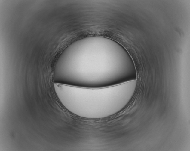 X0000114581202200910191047