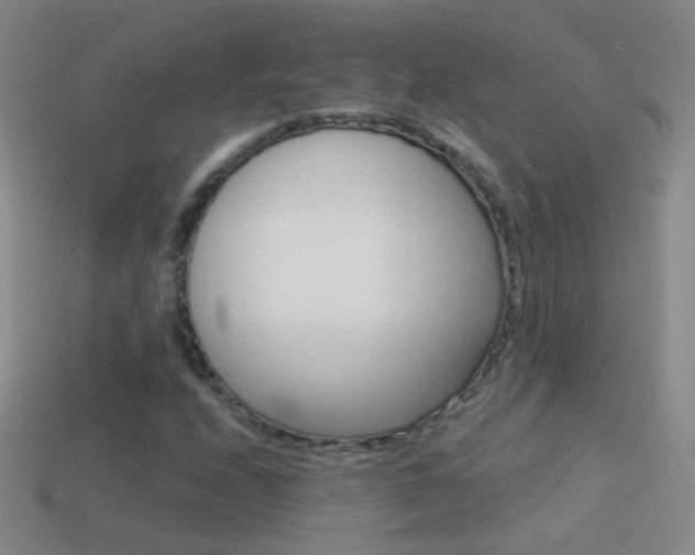 X0000114581208200910191047