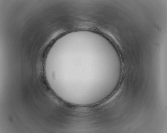 X0000114581211200910191047