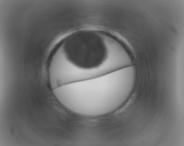 X0000114581215200910191047