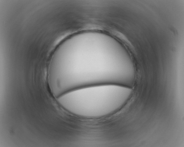 X0000114581220200910191047