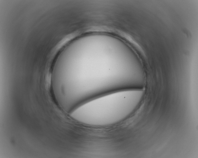 X0000114581221200910191047
