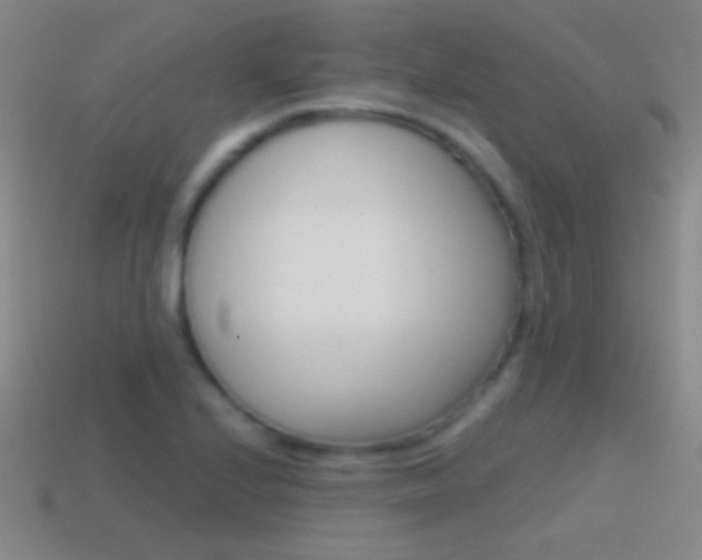 X0000114581224200910191047