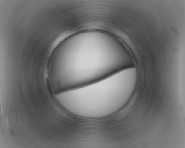 X0000114581226200910191047
