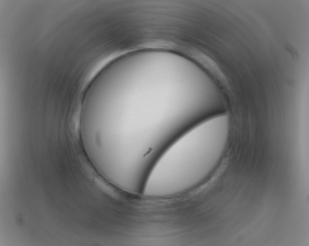 X0000114581228200910191047