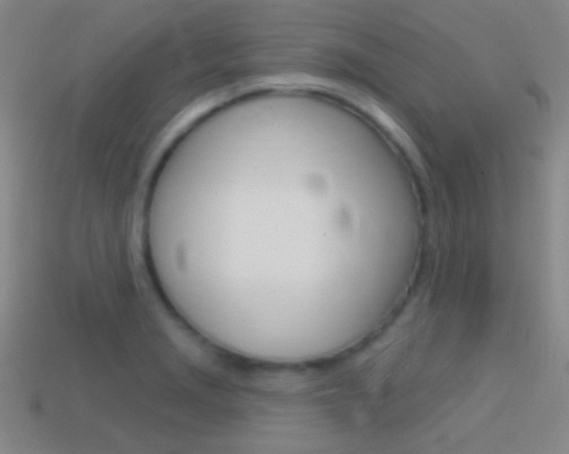 X0000114581229200910191047
