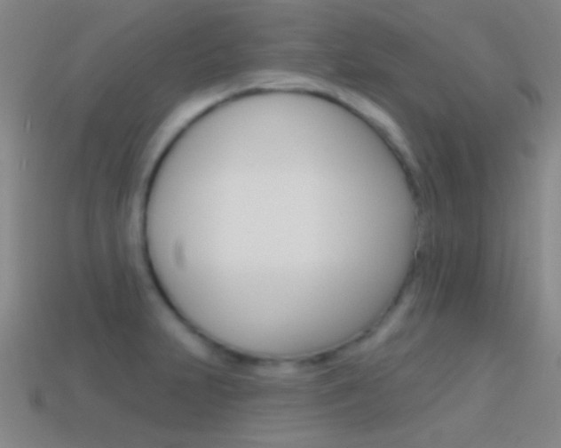 X0000114581231200910191047