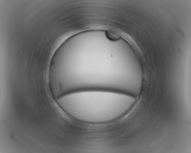 X0000114581236200910191048