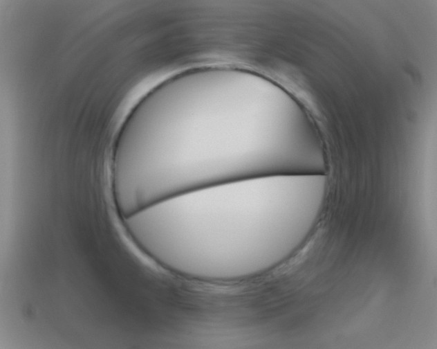 X0000114581239200910191048