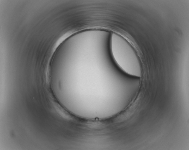 X0000114581242200910191048