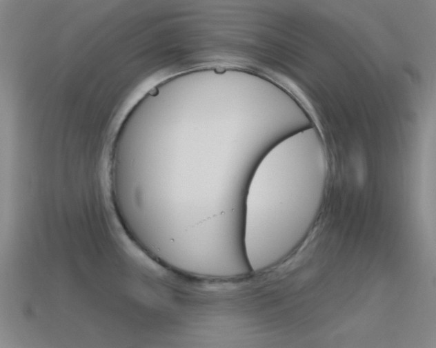 X0000114581243200910191048